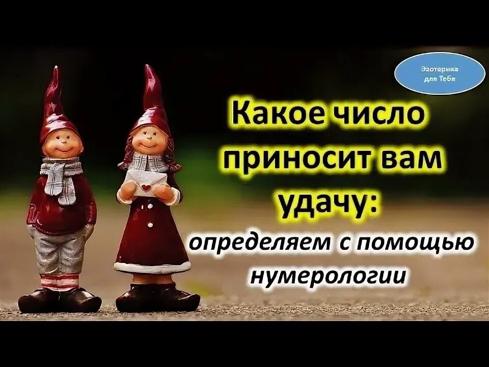 Принесите какое число. Принесите какое число