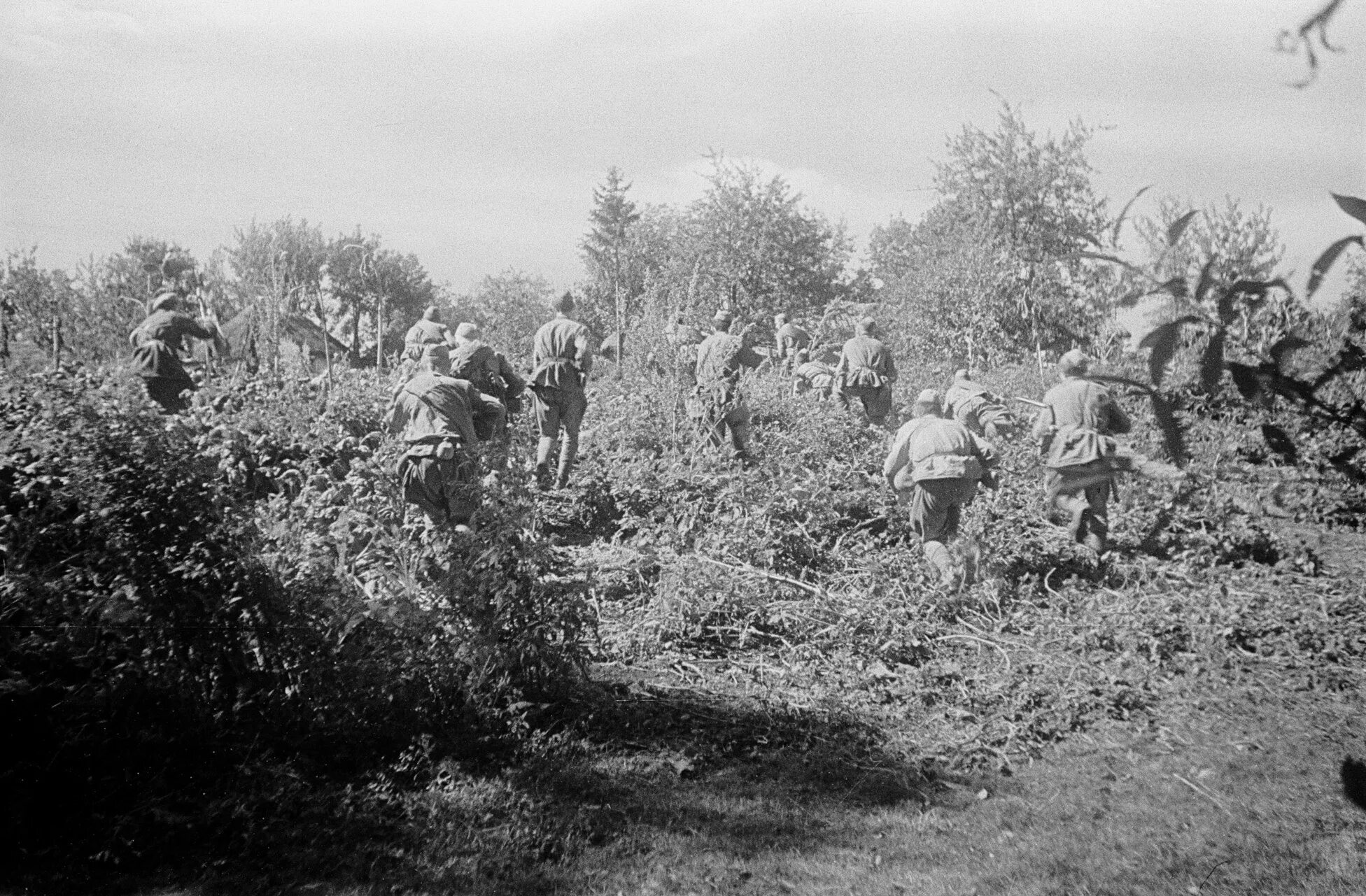 Великая отечественная освобождение белоруссии. Операция Багратион 1944.