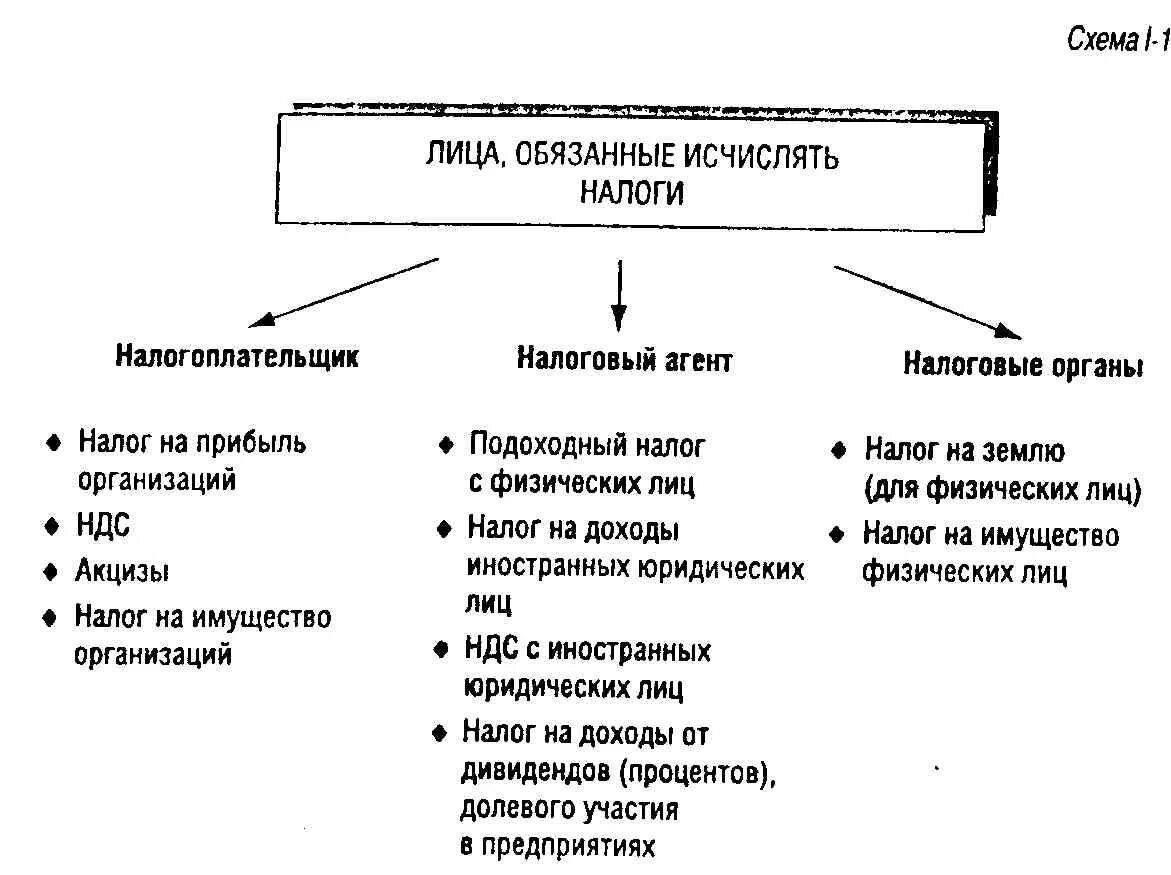 Отношения налогоплательщик налоговые органы. Физ лица в налоговом праве схема. Виды налогов схема. Лица исчисляющие налог. Налоги юридических лиц схема.