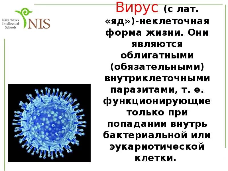 Вирусы неклеточные формы жизни. Неклеточные формы жизни вирусы и бактерии. Бактерии это неклеточная форма жизни. Вирусы облигатные внутриклеточные паразиты.