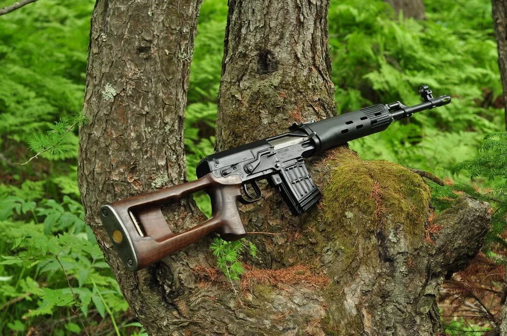 Что общего между деревом и винтовкой. Что общего между деревом и винтовкой. Вепрь карабин гладкоствольный. Что общего между деревом и винтовкой? (ствол). Что общего между деревом и винтовкой.