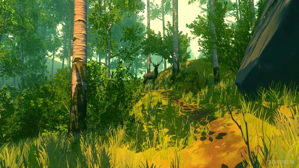 The were going the forest. 8320 FX В the Forest. Форест игра арт. Зе Форест 2. Форест 4.