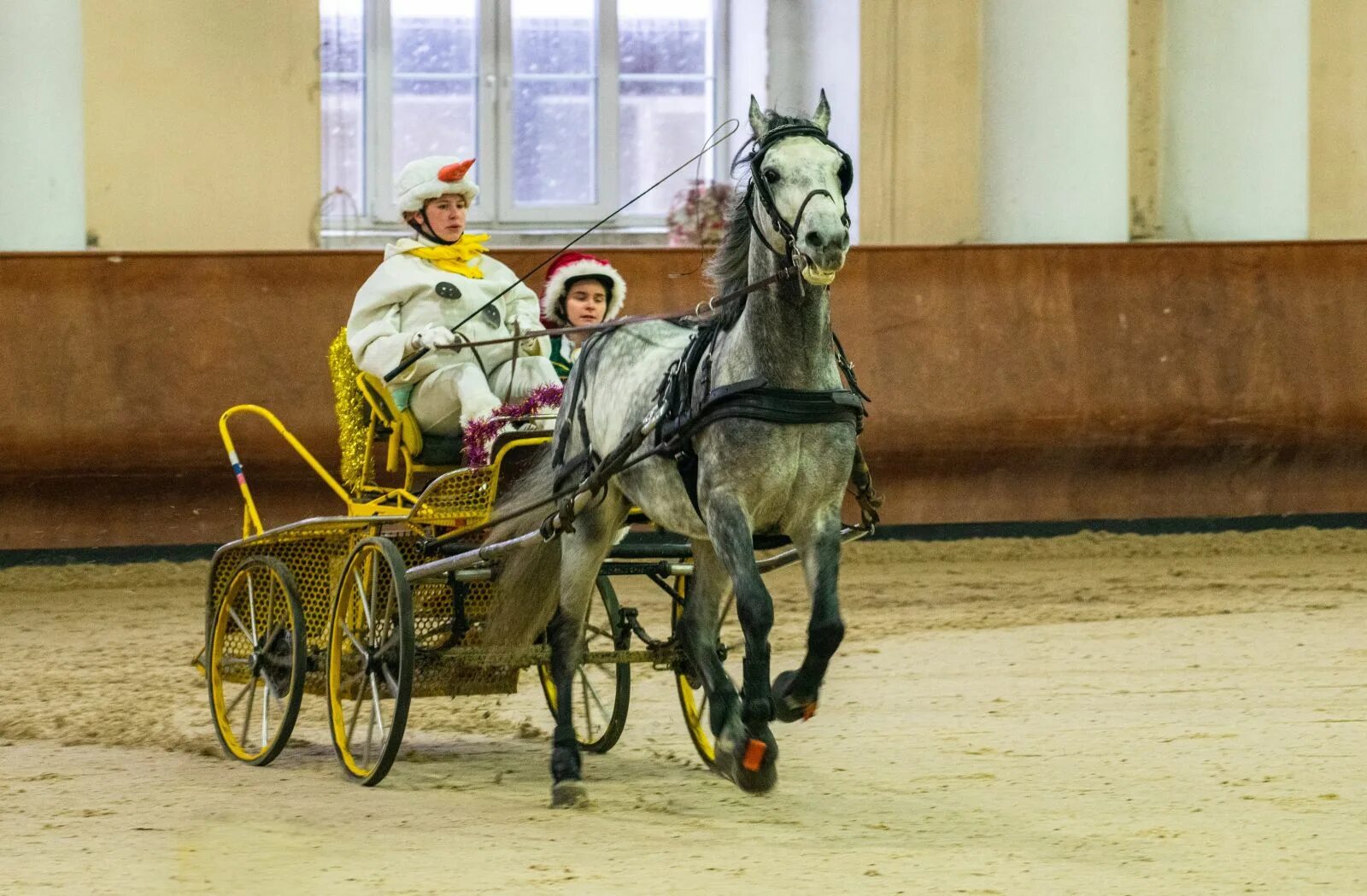 орловские конюшни кк русь. карта древнерусское государство в 15 веках. испытание борзых в ростове. кк русь. космический корабль клипер 2.