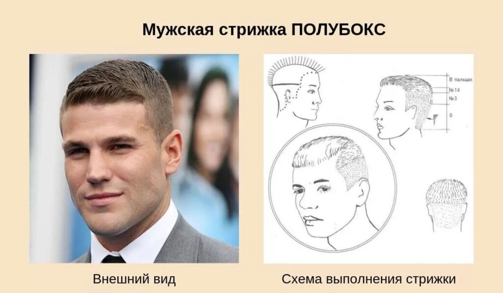 Как стричь короткий мужской стрижка. Полубокс стрижка под машинку схема. Стрижка фейд полубокс. Стрижка фейд (fade) полубокс. Схема мужской стрижки полубокс.