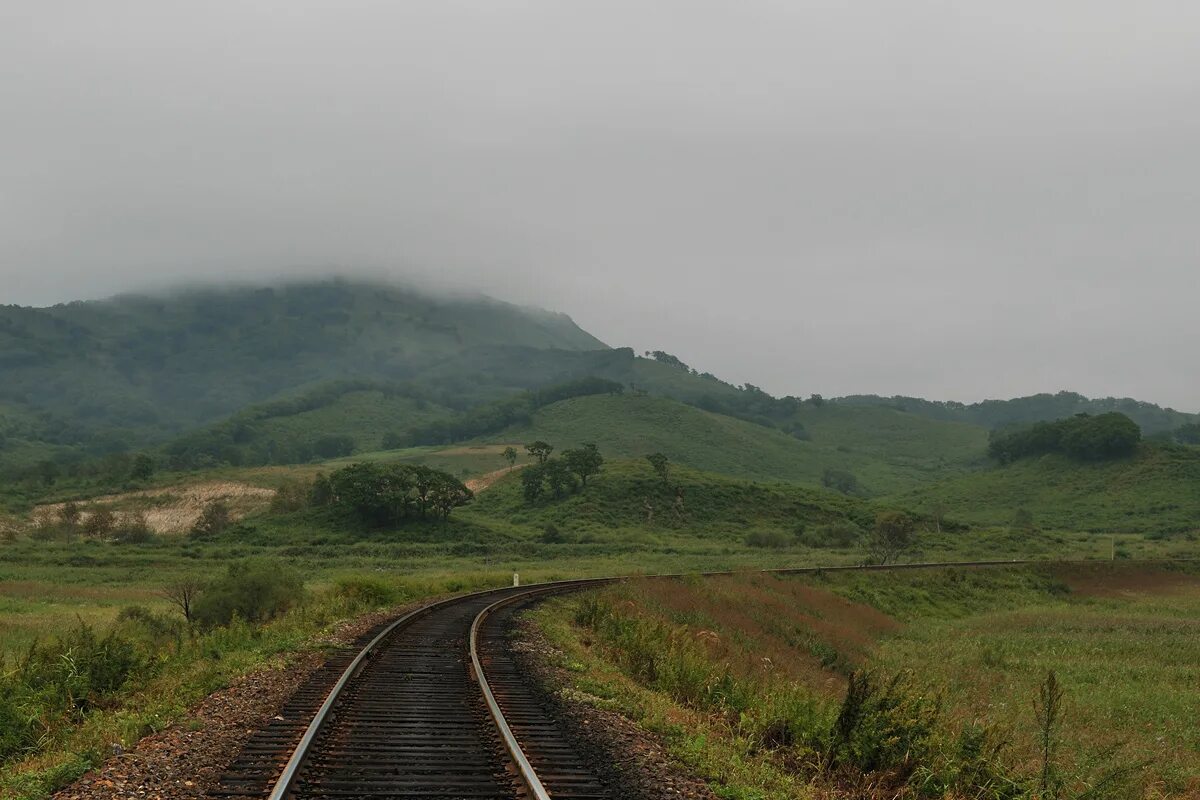 станция бамбурово приморский край. бамбурово хасанский район. дальневосточная жд дорога. бамбурово приморский край. приморский край шеки.