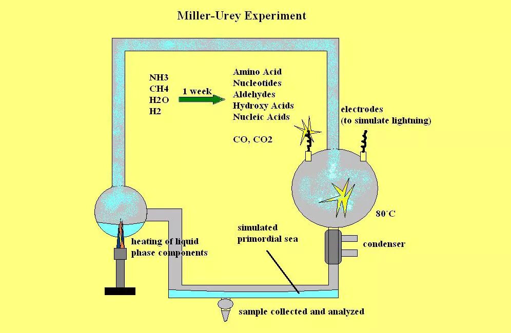 Эксперимент Миллера. Опыт Миллера. Miller urey Experiment. Опыт Миллера и Юри. Опыты миллера доказали