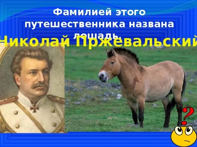 Кличка коня капитана махотина. Лошадь Пржевальского красивое фото. Как выглядит лошадь Пржевальского улыбка. Лошадь названная в честь королевы.