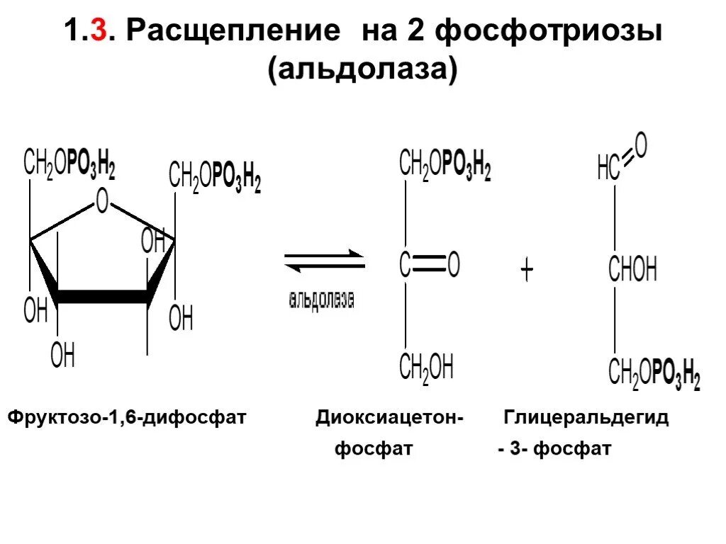 Фруктозо 1 фосфат формула. D фруктозо 6 фосфат. 1 6 Дифосфат фруктозы биологическая роль. 1 6 Дифосфат д фруктозы.