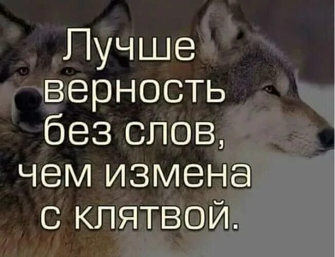 Цитаты про верность и преданность. Верность женщины проверяется. Высказывания про верность. Верность женщины проверяется когда. Мудрые афоризмы.