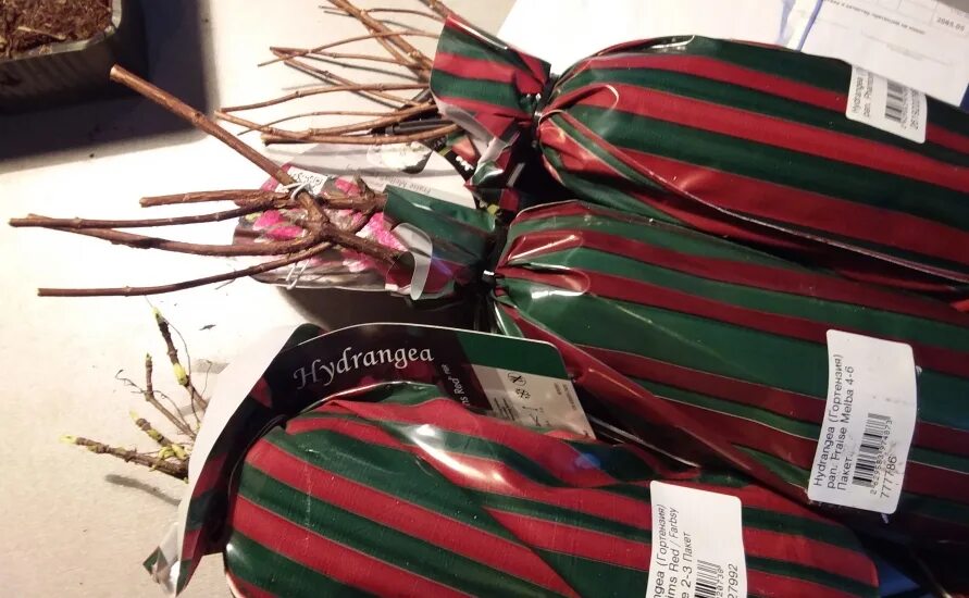 подворье магазин саженцев в москве