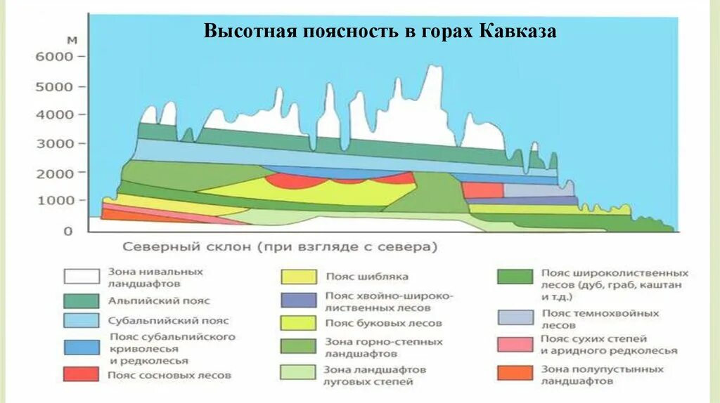 Высотная поясность. Высотная поясность в горах. Высотная поясность Кавказа. Схема ВЫСОТНОЙ поясности Кавказа.