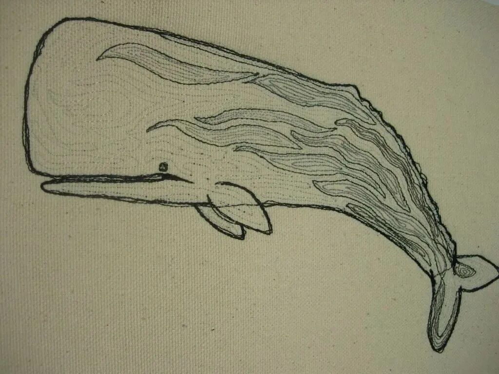 Киты рисунок карандашом для детей. Кашалот карандашом. кашалот рисунок. кашалот эскиз. кашалот нарисовать.