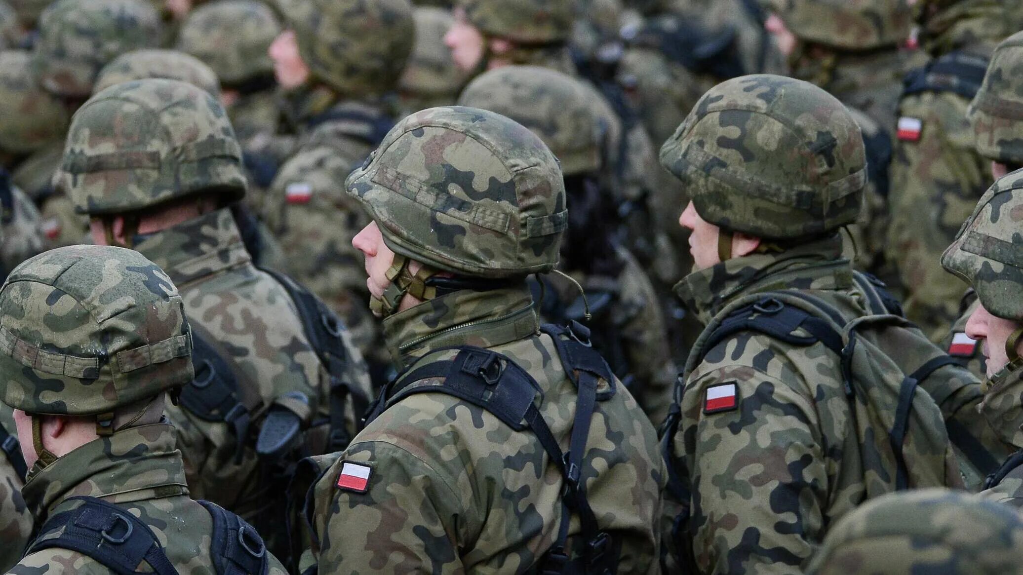 Нато ввели войска в россию. Форма польской армии 2020. Польские войска 2022. Польский солдат НАТО. Польская армия учения.