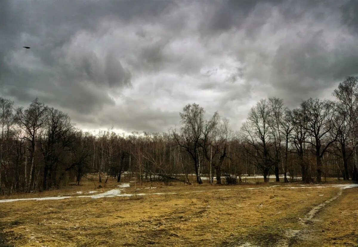 Пасмурный апрель. Пасмурный апрель. Пасмурный день весной. Пасмурный апрель. Пасмурный день весной.