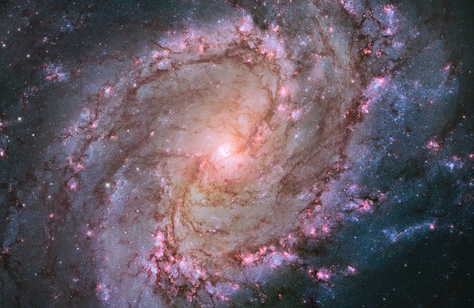 Туманность ngc 2467. Fcnhjajnujufhabz глубокий космос. Туманность м51. Дальний космос. Снимки телескопа кеплер.