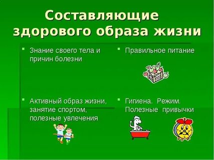 3 составляющие жизни