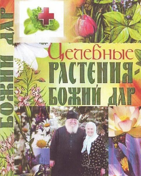 Книга Зайцевой Елены Федоровны травницы.