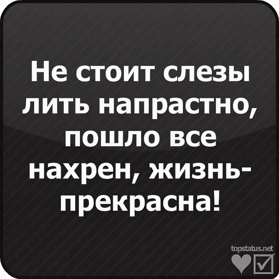 Хватит слез. Хватит слезы лить.