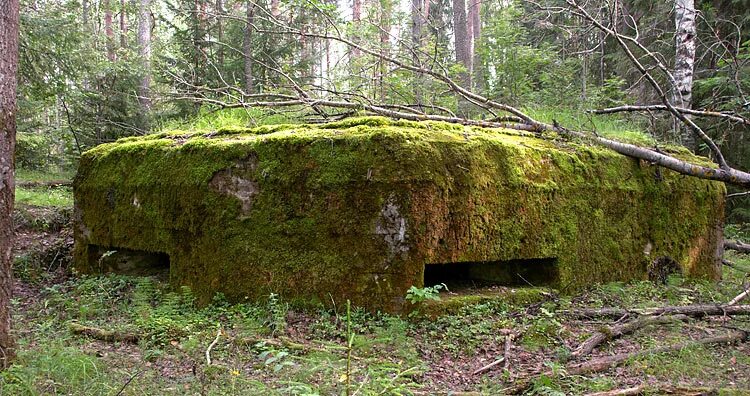 Маскировочный комплект ммк-2. Массеть мкт 2п. Объекты маскировки. Маскировочная сетка на местности. Сеть маскировочная мкт-2п 1,5х3м "поле".