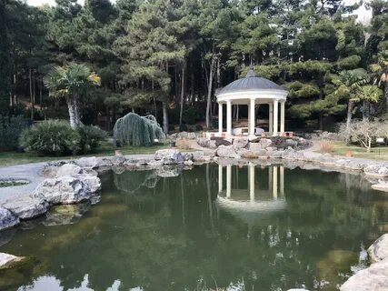Экскурсии в парк айвазовского