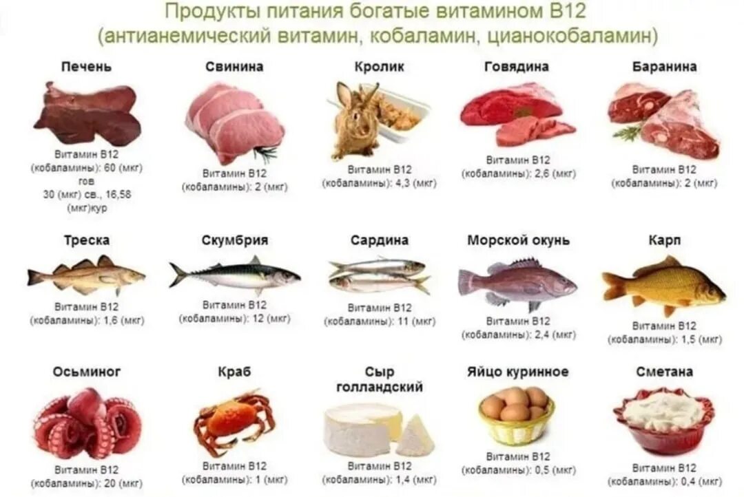 Продукты содержащие витамин в12 в большом количестве. В каких продуктах содержится витамин в12 в большом количестве список. В каких продуктах много витамина b12. Продукты богатые витамином в12 таблица. Б 13 в продуктах