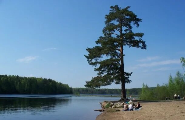 Магнитный пазл 27x18см."Финляндия, мокрый снег, вода" на холодильник купить с