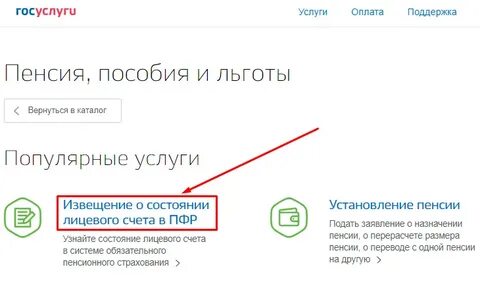 Узнать размер пенсионных накоплений госуслуги