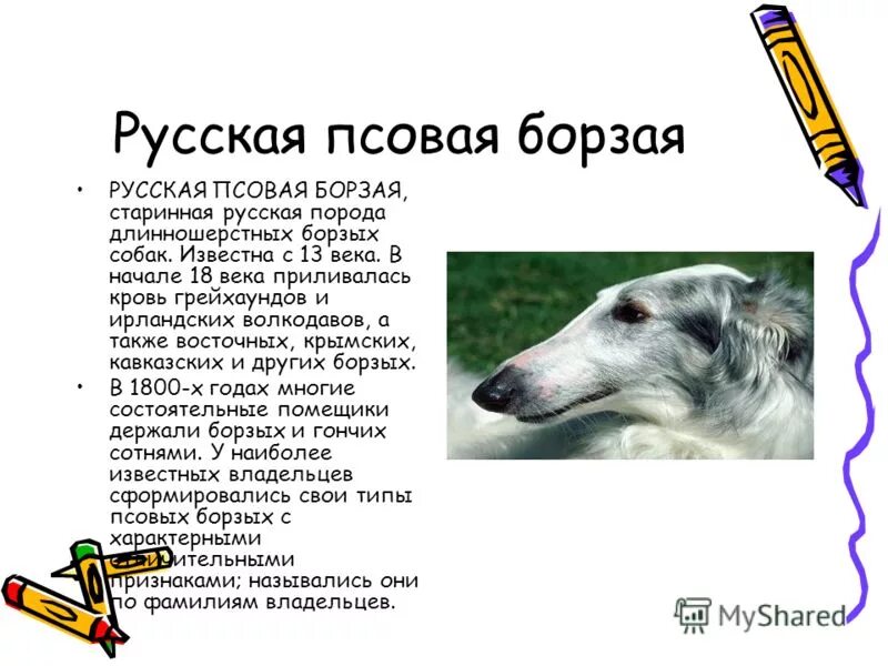 Carl reichert (карл райхерт). Борзыми щенками брать. Ляпкин тяпкин. Художник otto eerelman. Взятки борзыми щенками кто сказал.