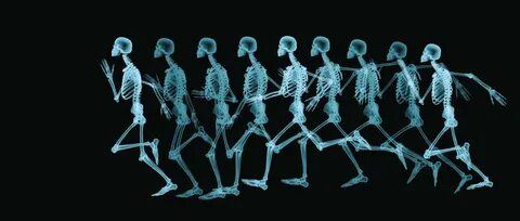 Bones how