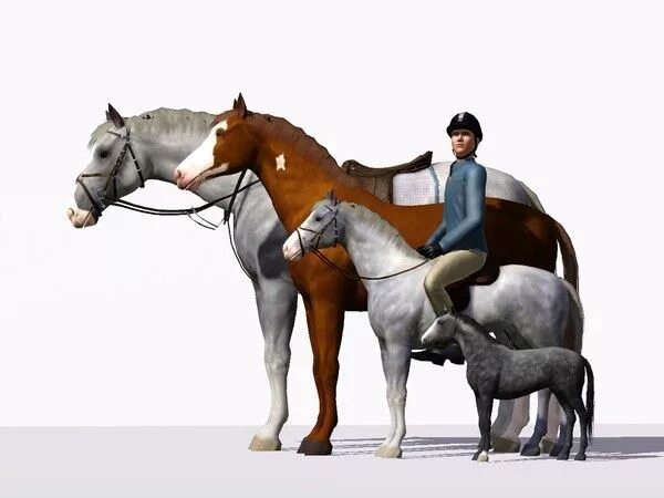 Симс верховая езда. SIMS 3 лошади. Симс 3 кони. SIMS 4 лошади. Симс 4 лошади 2023.