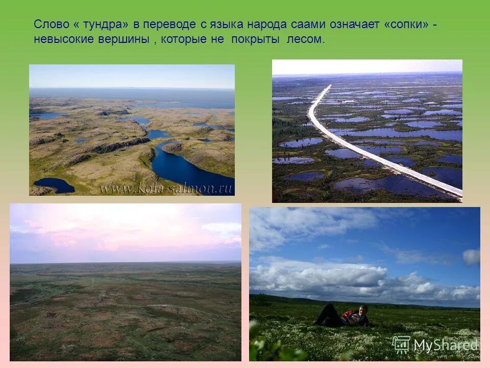 тундра слово. тундра слово. природные условия тундры.