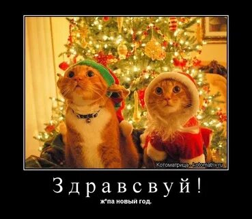 Эта новый год да