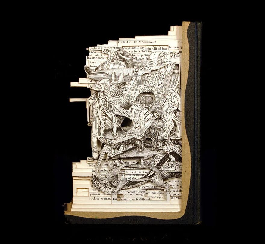 7 сложных книг. Книжные скульптуры Брайан Деттмер. Книги-скульптуры Брайана Деттмера. Резьба по книгам работы Брайана Деттмера. Искусство из старых книг.