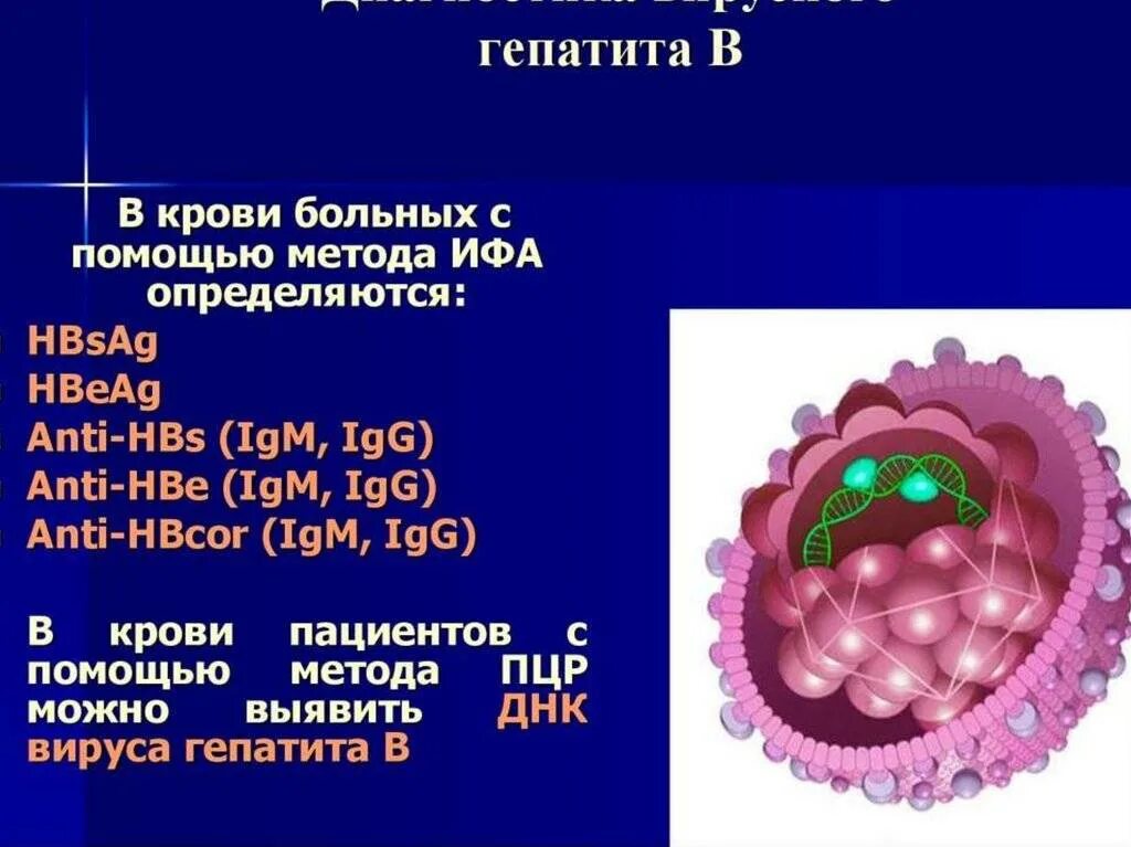 Гепатит заболевание крови. Диагностические маркеры вирусных гепатитов ПЦР ИФА. Вирусный гепатит б. Вирус гепатита б. ДНК вируса гепатита в.
