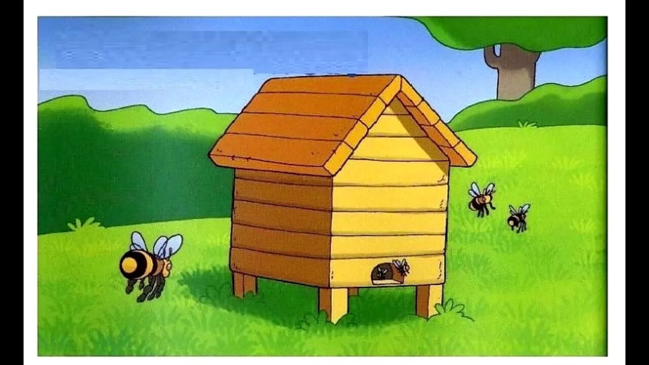 Ули т