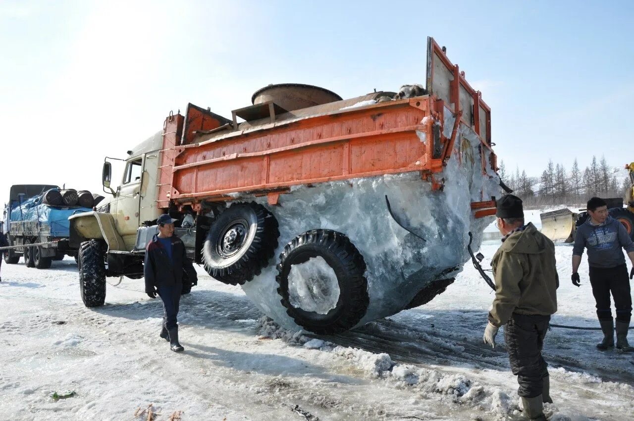 Суровый привести