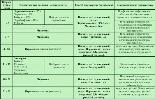 Схема пропойки цыплят бройлеров с первых дней. Схема выпойки бройлеров по дням. Схема выпойки бройлеров. Схема выпойки цыплят бройлеров с первого.