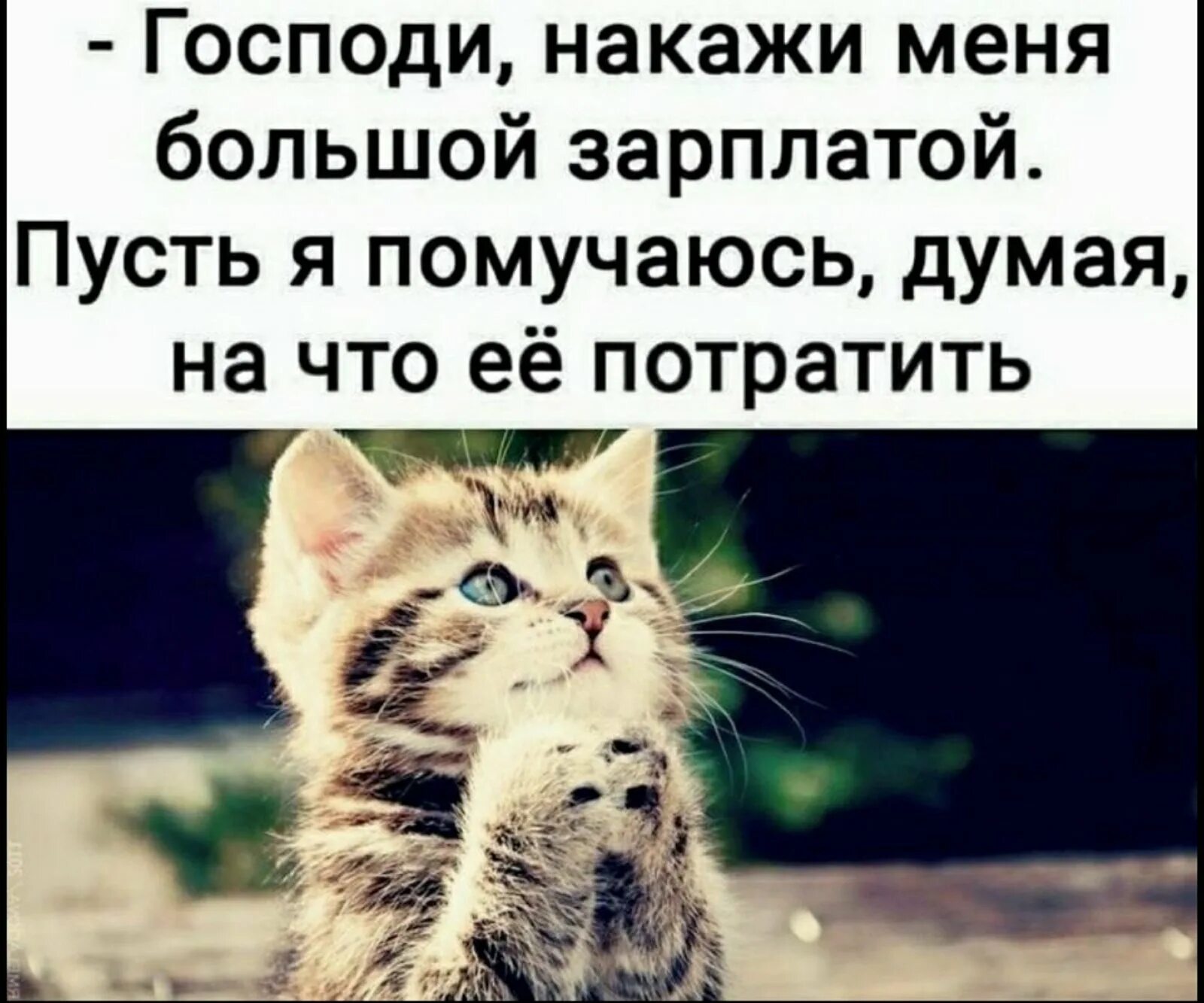 А меня пускай. Господи накажи меня большой зарплатой. господи накажи меня большой зарплатой пусть. господи накажи меня большой зарплатой пусть я помучаюсь думая. господи накажи меня и моих друзей большой зарплатой.