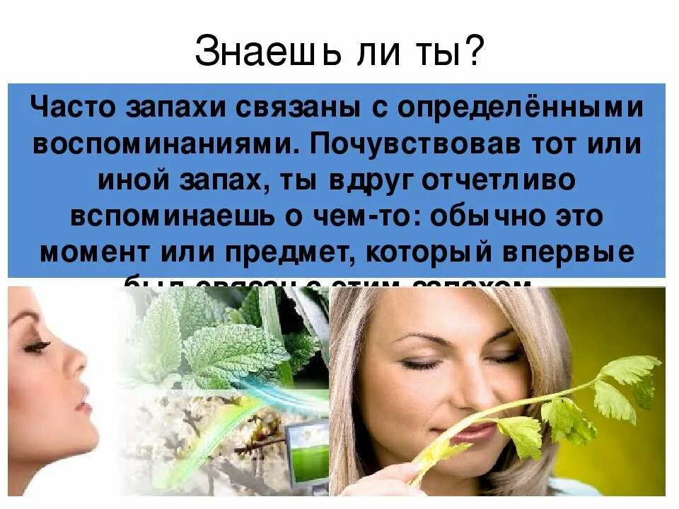 чувствительное обоняние. но запах суть и. но запах суть и. но запах суть и. нюхнул чай.