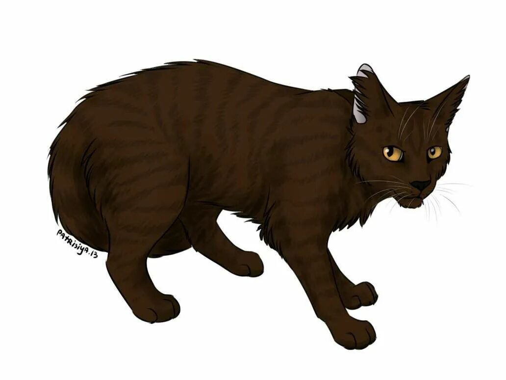 коты воители звездоцап в полный рост. коты воители заездоллм. коты воители царапка. коты воители звездоцапая. коты воители звездолом.