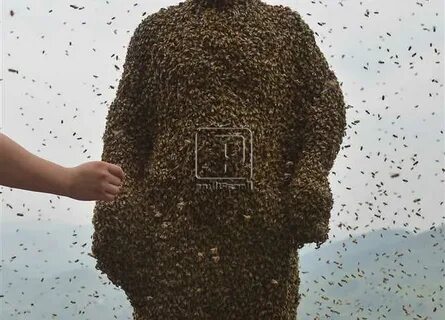 К чему снится рой