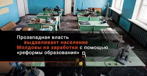 Реформа образования в 2024 году