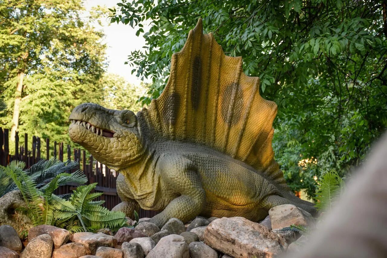 Диметродон. Диметродон динозавр. Румыния парк динозавров. Куба парк динозавров.