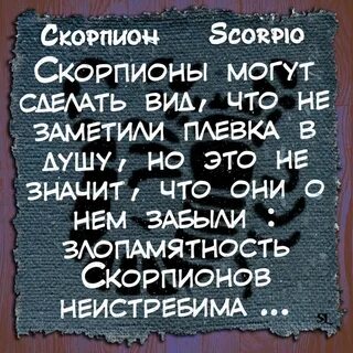 Скорпионы шутки