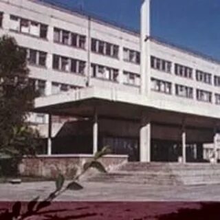 Тольятти педагогический институт