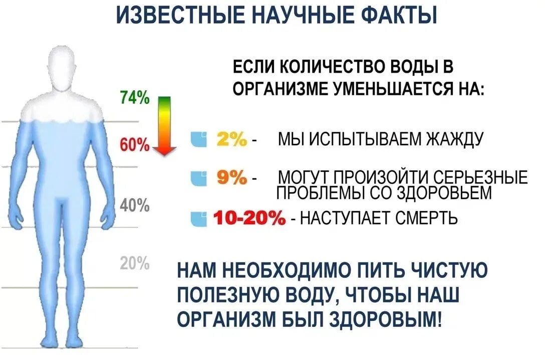 Сколько литров во взрослом человеке. Вода в организме человека. Сколькл веды в человеке. Содержание воды в организме. Процентное содержание воды в организме.