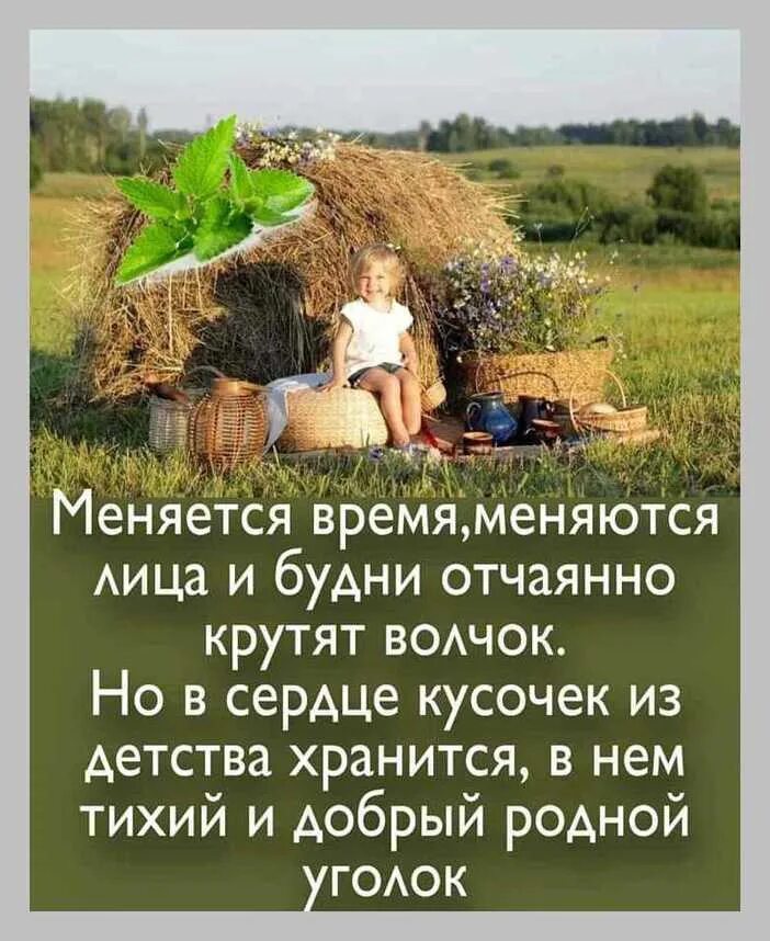 Меняется время меняются лица и будни отчаянно. Уходит время нам меняя внешность. Тихая радость. Красивые статусы про деревню.