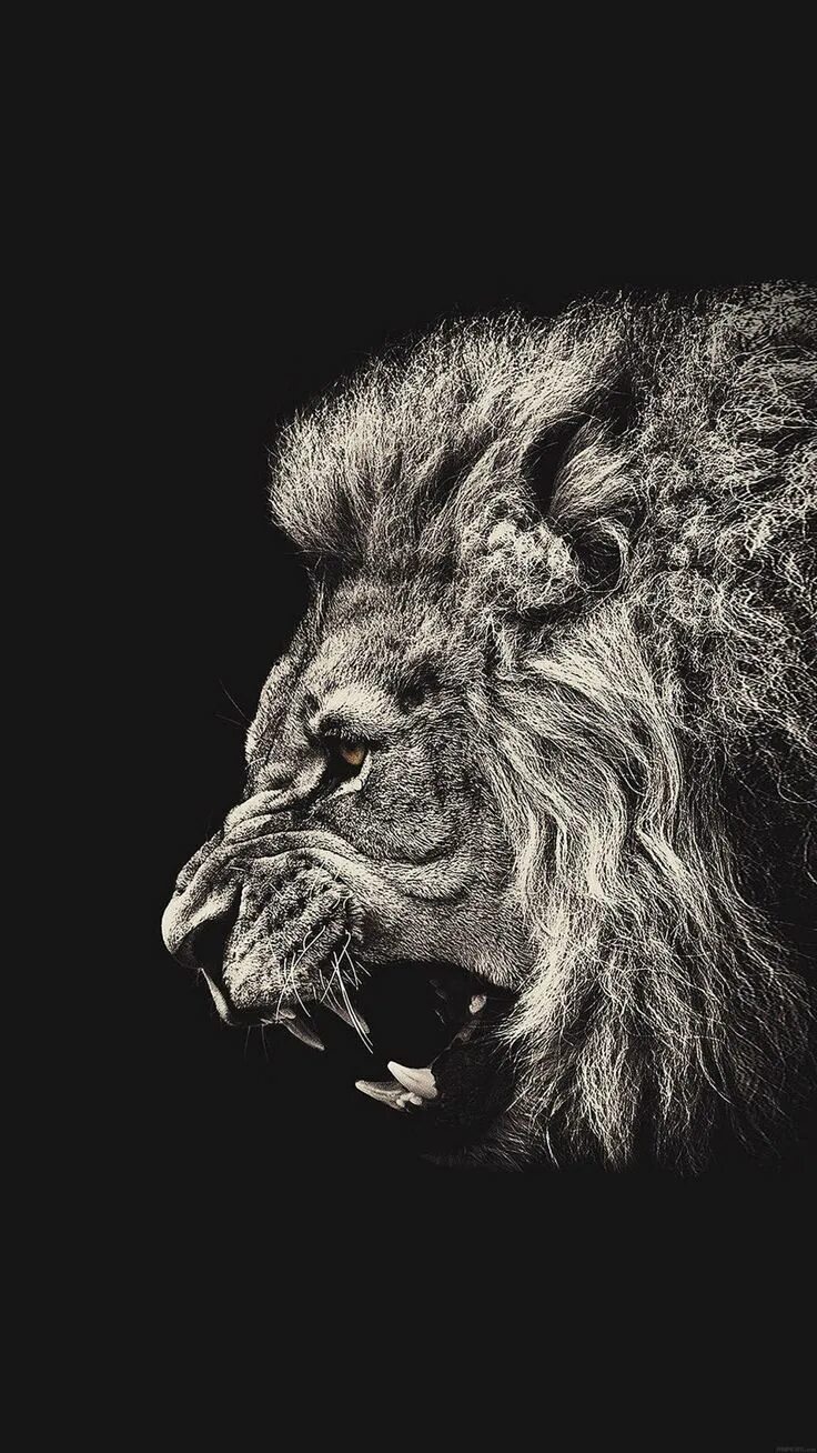 Фото льва на темном фоне Pin by About Photography on iPhone Wallpaper Lion painting, Lion art, Lion image