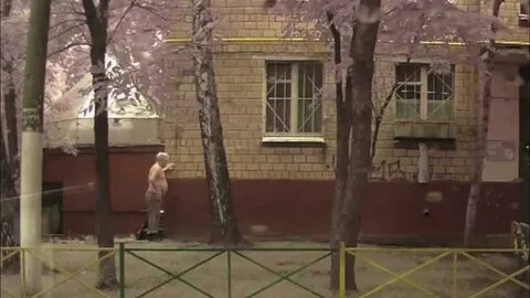 Сниму прикольное видео