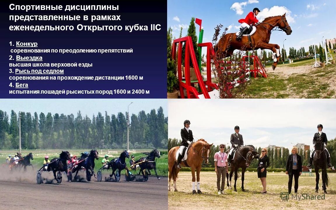 рогейн ориентирование. Ironman триатлон бег. разряды в конном спорте конкур. гонки на велосипедах. вольтижировка заскок.